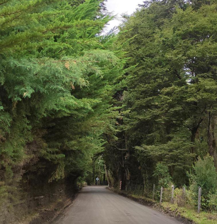 Cabana Ensenada, Puerto Varas - 1 Ambiente Buitenkant foto
